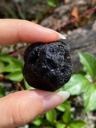 Colombianite 27g Pseudo-Tektite Raw Specimen from Curious Muse Crystals Tagged with black, colombia, colombianite, hide-notify-btn, moldavite, obsidian, reiki healing, space crystal, tektite
