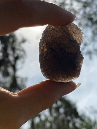 Colombianite 32g Pseudo-Tektite Raw Specimen from Curious Muse Crystals Tagged with black, colombia, colombianite, hide-notify-btn, moldavite, obsidian, reiki healing, space crystal, tektite
