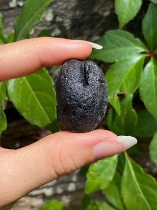 Colombianite 27g Pseudo-Tektite Raw Specimen from Curious Muse Crystals Tagged with black, colombia, colombianite, hide-notify-btn, moldavite, obsidian, reiki healing, space crystal, tektite