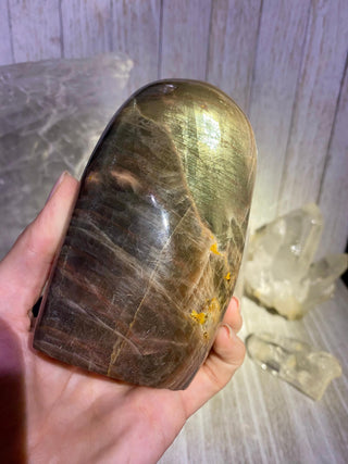 Black Moonstone Extra Flashy Polished Crystal | Orthoclase Feldspar from Curious Muse Crystals Tagged with black, black moonstone, Crystal healing, genuine crystal, hide-notify-btn, intuition stone, Madagascar mineral, mineral collection, moonstone,