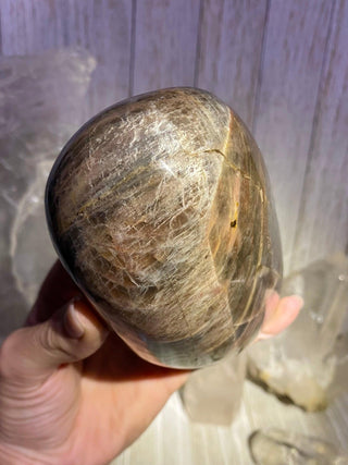 Black Moonstone Extra Flashy Polished Crystal | Orthoclase Feldspar from Curious Muse Crystals Tagged with black, black moonstone, Crystal healing, genuine crystal, hide-notify-btn, intuition stone, Madagascar mineral, mineral collection, moonstone,