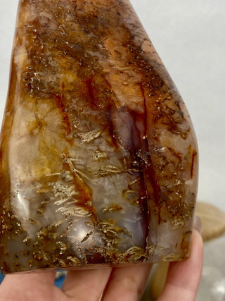 Carnelian Agate Freeform | Red Agate from Madagascar from Curious Muse Crystals Tagged with agate, carnelian, freeform, hide-notify-btn, love, madagascar, red, strength, willpower