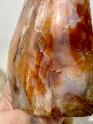 Carnelian Agate Freeform | Red Agate from Madagascar from Curious Muse Crystals Tagged with agate, carnelian, freeform, hide-notify-btn, love, madagascar, red, strength, willpower
