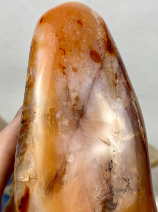 Carnelian Agate Freeform | Red Agate from Madagascar from Curious Muse Crystals Tagged with agate, carnelian, freeform, hide-notify-btn, love, madagascar, red, strength, willpower