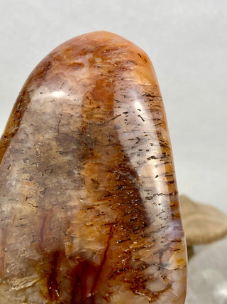 Carnelian Agate Freeform | Red Agate from Madagascar from Curious Muse Crystals Tagged with agate, carnelian, freeform, hide-notify-btn, love, madagascar, red, strength, willpower