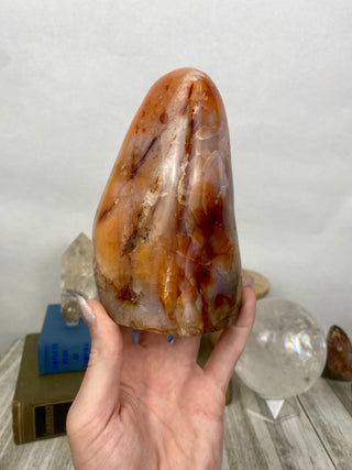 Carnelian Agate Freeform | Red Agate from Madagascar from Curious Muse Crystals Tagged with agate, carnelian, freeform, hide-notify-btn, love, madagascar, red, strength, willpower