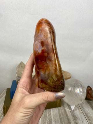 Carnelian Agate Freeform | Red Agate from Madagascar from Curious Muse Crystals Tagged with agate, carnelian, freeform, hide-notify-btn, love, madagascar, red, strength, willpower