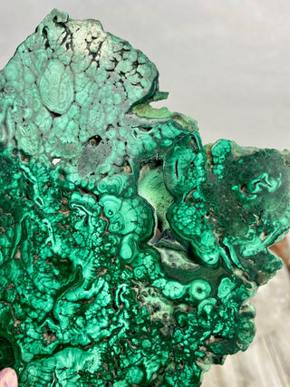 Malachite Polished Slab | Unique Patterns from Curious Muse Crystals Tagged with Copper Stone, Crystal Healing, Dark Green Stone, Genuine Crystal, green, Hearth Chakra, hide-notify-btn, high grade, Malachite, Manifestation, Mineral Collection, Natura
