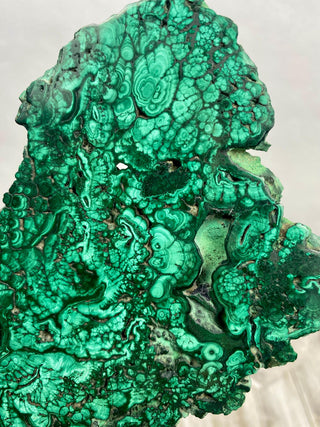 Malachite Polished Slab | Unique Patterns from Curious Muse Crystals Tagged with Copper Stone, Crystal Healing, Dark Green Stone, Genuine Crystal, green, Hearth Chakra, hide-notify-btn, high grade, Malachite, Manifestation, Mineral Collection, Natura