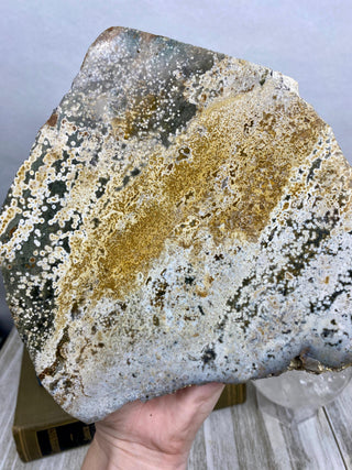 Ocean Jasper Slab | Pastel & Bubbly from Curious Muse Crystals Tagged with Crystal healing, drusy pocket, hide-notify-btn, jasper, Madagascar mineral, mineral collection, natural mineral, ocean jasper, Orbicular jasper, peace and calming, purple, rei