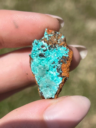 Rosasite with Aurichalcite Raw Specimen | Ojuela Mine, Mexico