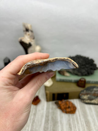 Blue Chalcedony Owl Hand Carved Animal Geode | Crystal Home Decor