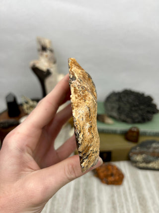 Blue Chalcedony Owl Hand Carved Animal Geode | Crystal Home Decor