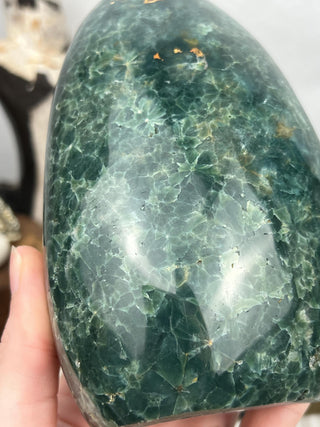 Ocean Jasper Freeform | Flower Patterns with Crystal Pockets