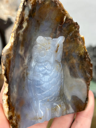 Blue Chalcedony Owl Hand Carved Animal Geode | Crystal Home Decor
