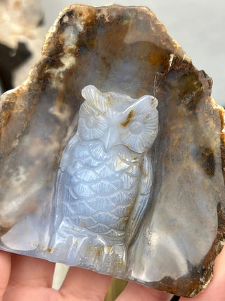 Blue Chalcedony Owl Hand Carved Animal Geode | Crystal Home Decor