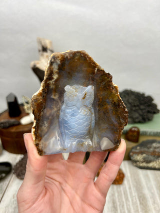 Blue Chalcedony Owl Hand Carved Animal Geode | Crystal Home Decor