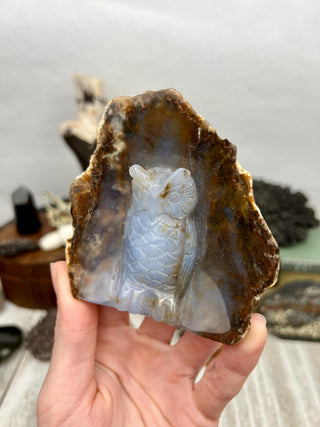 Blue Chalcedony Owl Hand Carved Animal Geode | Crystal Home Decor