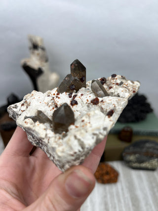 Garnet on Smoky Quartz and Feldspar | Collector Mineral