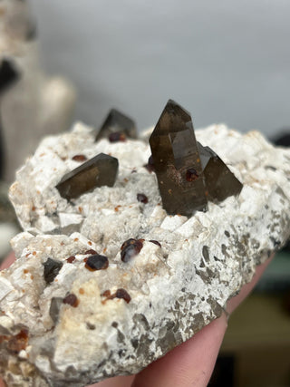 Garnet on Smoky Quartz and Feldspar | Collector Mineral