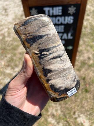 Black and Tan Petrified Wood Raw Display Piece