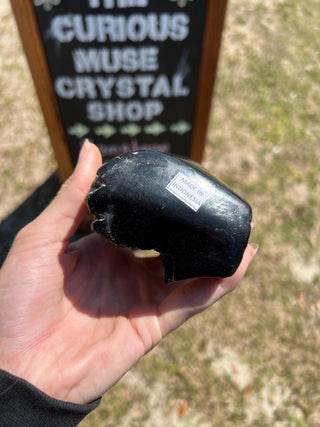 Black Petrified Wood Raw Display Piece