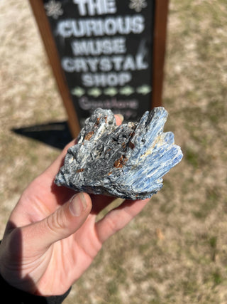 Blue Kyanite Blades in Quartz