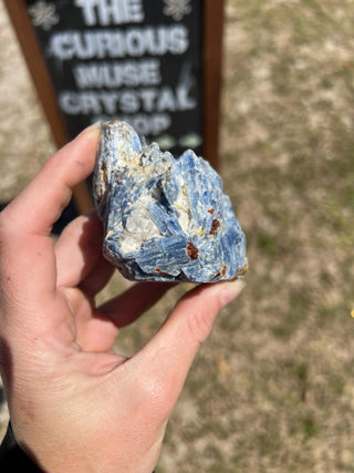 Blue Kyanite Blades in Quartz