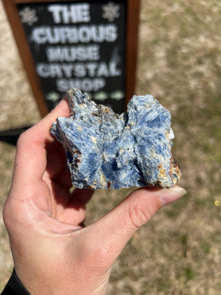 Blue Kyanite Blades in Quartz