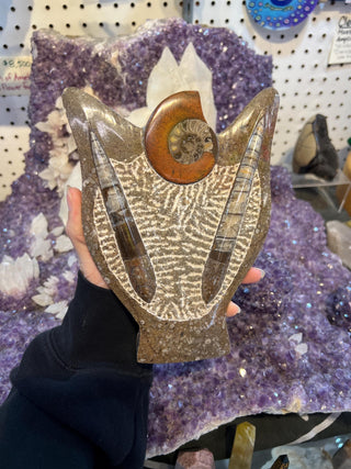 Ammonite & Orthoceras Fossil Statue