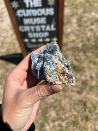 Blue Kyanite Blades in Quartz