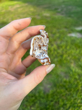 Fossil Agatized Coral Small | Withlacoochee River, Florida