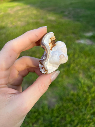 Fossil Agatized Coral Small | Withlacoochee River, Florida