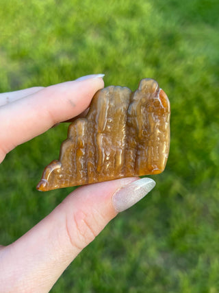 Fossil Agatized Coral Small | Withlacoochee River, Florida