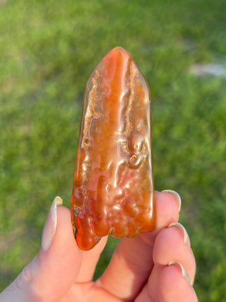 Fossil Agatized Coral Small | Withlacoochee River, Florida