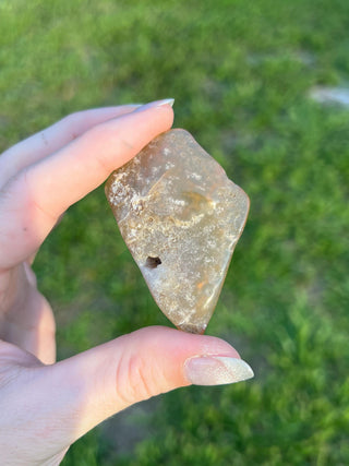Fossil Agatized Coral Small | Withlacoochee River, Florida