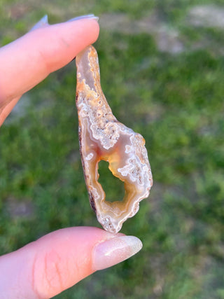 Fossil Agatized Coral Small | Withlacoochee River, Florida