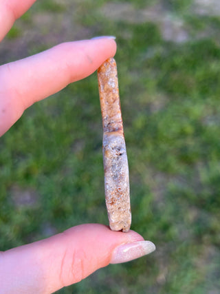 Fossil Agatized Coral Small | Withlacoochee River, Florida