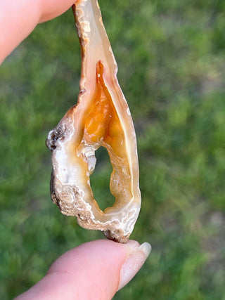 Fossil Agatized Coral Small | Withlacoochee River, Florida
