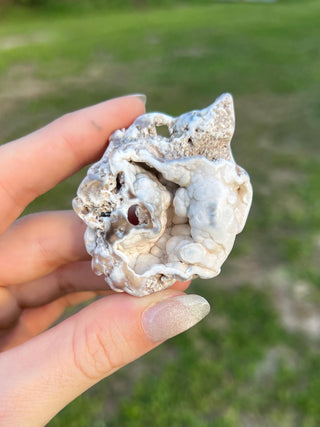 Fossil Agatized Coral Small | Tampa Bay, Florida