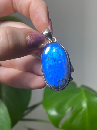 Blue Flash Labradorite in Sterling Silver Pendant | BL3 from Curious Muse Crystals Tagged with big crystal necklace, blue, blue crystal jewelry, blue labradorite, crystal energy, Crystal Jewelry, full flash lab, Labradorite, Pendant, reiki healing, silver crystal jewel, Sterling, sterling silver