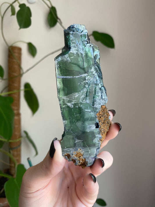 Vivianite Specimen - Spiritual Awareness from Curious Muse Crystals for 328.00. Tagged with collector grade, fine mienral, genuine mineral, green blue crystal, hide-notify-btn, high end mineral, natural crystal, raw mineral, raw specimen, raw vivianite, reiki work, vivianite