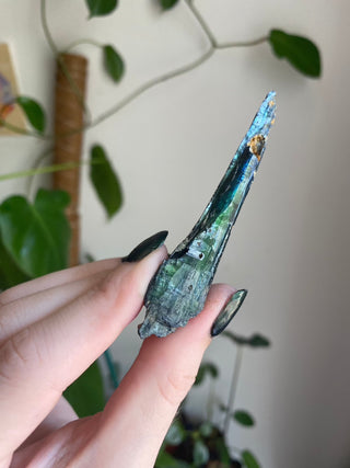 Vivianite Specimen - Spiritual Awareness from Curious Muse Crystals Tagged with black, blue, collector grade, fine mineral, genuine mineral, green, green blue crystal, high end mineral, natural crystal, raw mineral, raw specimen, raw vivianite, reiki work, vivianite