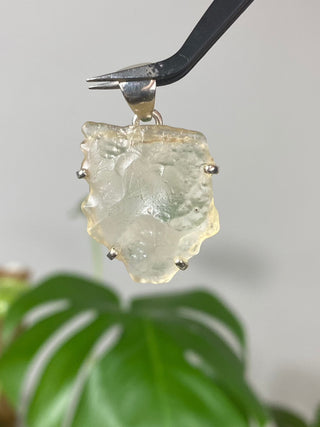 Libyan Desert Glass in Sterling Silver Pendant from Curious Muse Crystals Tagged with desert glass, hide-notify-btn, libya, necklace, Pendant, sterling silver, tektite, yellow