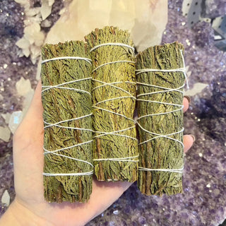 Cedar Bundle | Harmony & Blessings from Curious Muse Crystals Tagged with abundance, burnables, cedar, cedar sage, herb bundle, Natural incense, prosperity, Smoke cleansing, smudge