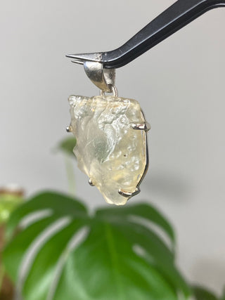 Libyan Desert Glass in Sterling Silver Pendant from Curious Muse Crystals Tagged with desert glass, hide-notify-btn, libya, necklace, Pendant, sterling silver, tektite, yellow