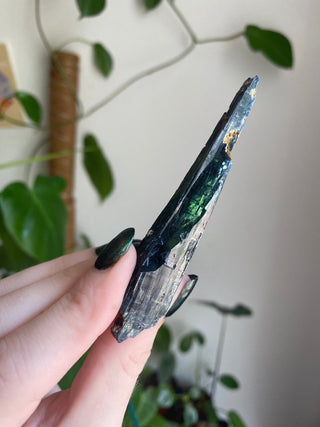 Vivianite Specimen - Spiritual Awareness from Curious Muse Crystals for 45. Tagged with black, blue, collector grade, fine mineral, genuine mineral, green, green blue crystal, high end mineral, natural crystal, raw mineral, raw specimen, raw vivianite, reiki work, vivianite