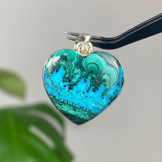 Malachite & Chrysocolla in Sterling Silver Pendant from Curious Muse Crystals for 54.00. Tagged with chrysocolla, hide-notify-btn, malachite, necklace, Pendant, sterling silver