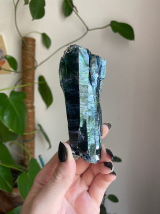 Vivianite Specimen - Spiritual Awareness from Curious Muse Crystals for 333.00. Tagged with collector grade, fine mineral, genuine mineral, green blue crystal, hide-notify-btn, high end mineral, natural crystal, raw mineral, raw specimen, raw vivianite, reiki work, vivianite