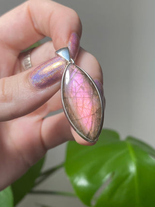 Pink Flash Labradorite in Sterling Silver Pendant - PL3 from Curious Muse Crystals Tagged with crystal jewelry, hide-notify-btn, labradorite, pendant, pink, sterling